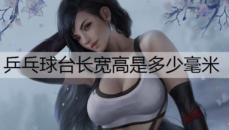 乒乓球台长宽高是多少毫米