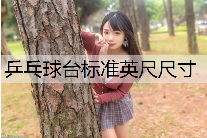 乒乓球台标准英尺尺寸