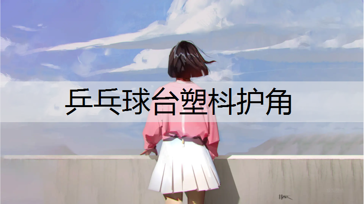 乒乓球台塑枓护角