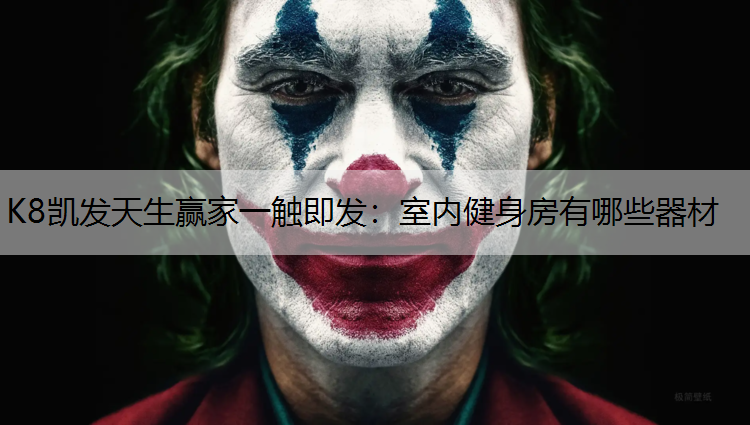 K8凯发天生赢家一触即发：室内健身房有哪些器材