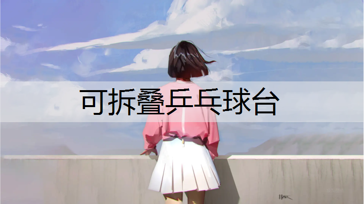 可拆叠乒乓球台