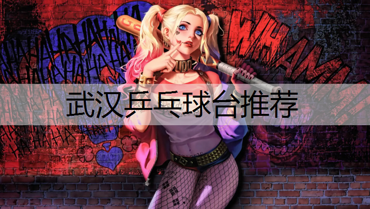 武汉乒乓球台推荐