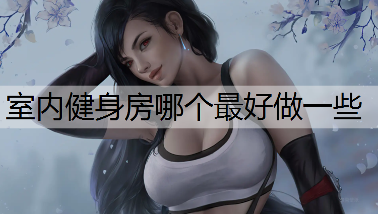 室内健身房哪个最好做一些