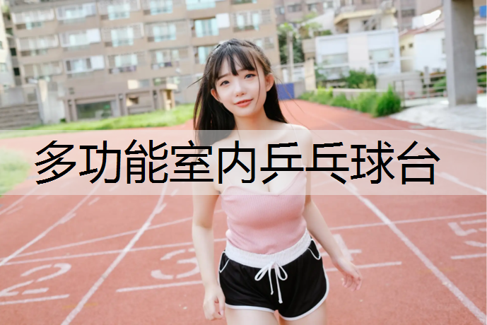 多功能室内乒乓球台