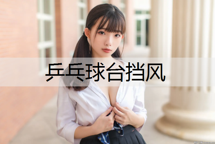 乒乓球台挡风