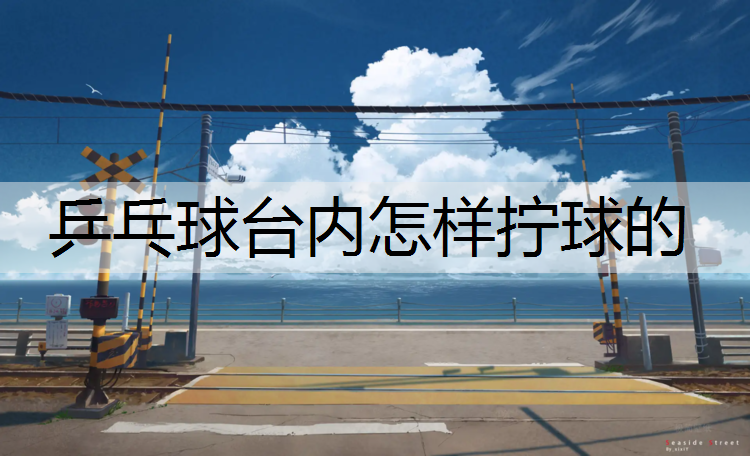 乒乓球台内怎样拧球的
