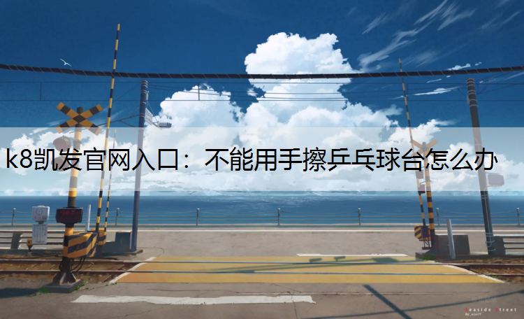 k8凯发官网入口：不能用手擦乒乓球台怎么办