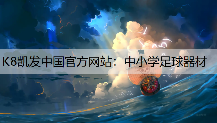 K8凯发中国官方网站：中小学足球器材