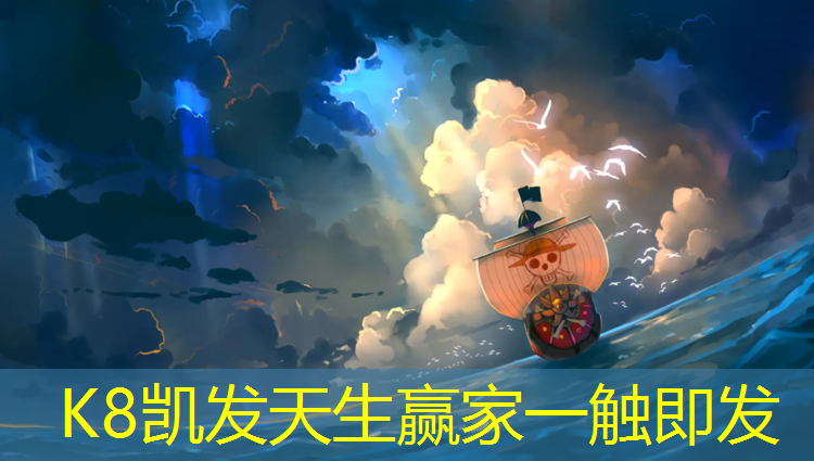 K8凯发国际官方网站：沙坪坝网球网价格