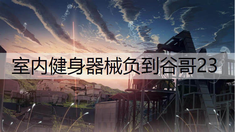 室内健身器械负到谷哥23