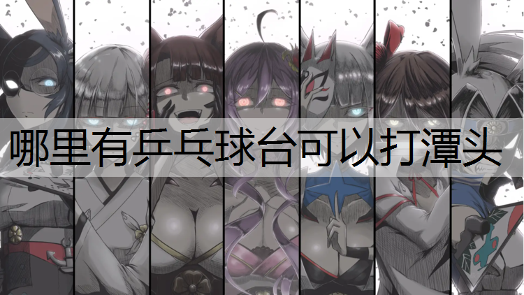 哪里有乒乓球台可以打潭头