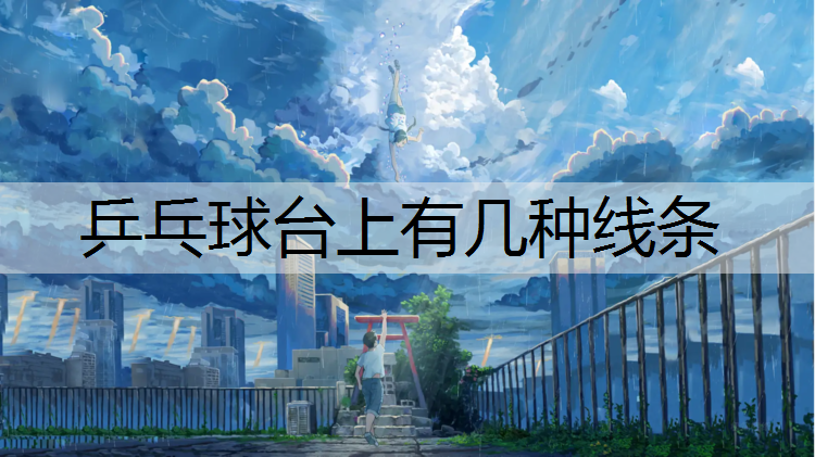 乒乓球台上有几种线条
