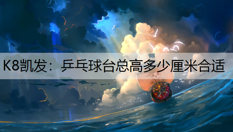 乒乓球台总高多少厘米合适