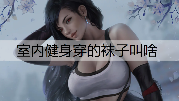 室内健身穿的袜子叫啥