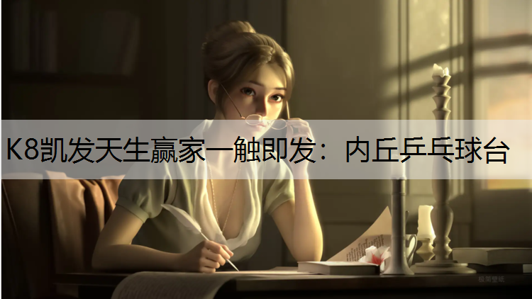 内丘乒乓球台