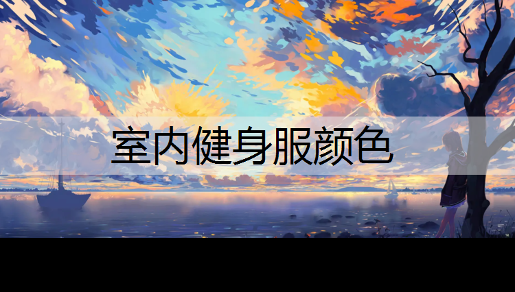 室内健身服颜色