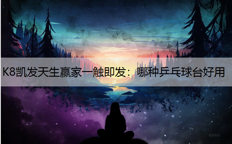 哪种乒乓球台好用