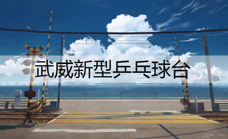 武威新型乒乓球台