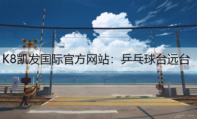 乒乓球台远台