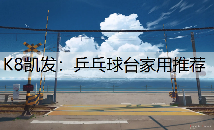 乒乓球台家用推荐
