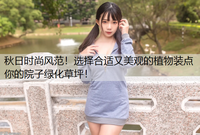 秋日时尚风范！选择合适又美观的植物装点你的院子绿化草坪！