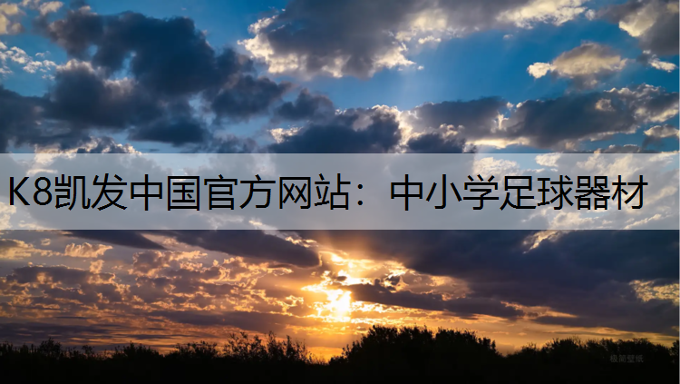 中小学足球器材