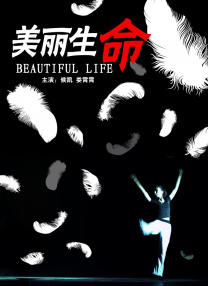 我的梦中情人
