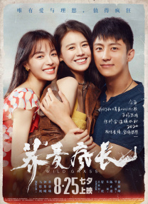 免费观看91视频